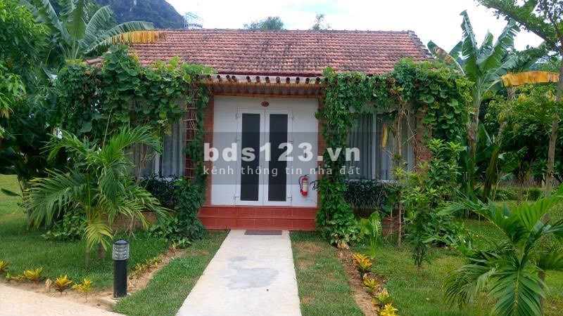 Bán lô đất 501m2 Homestay Nghĩ Dưỡng, chính sách mới 1 triệu đồng