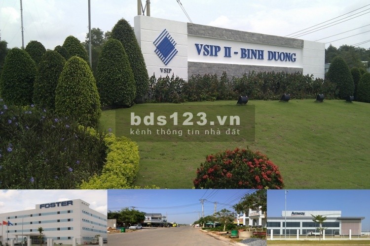 Đất nền đường trục chính Vĩnh Tân, giá 950 triệu/lô, mt 25m dt 70-120m2, cam kết thanh khoản