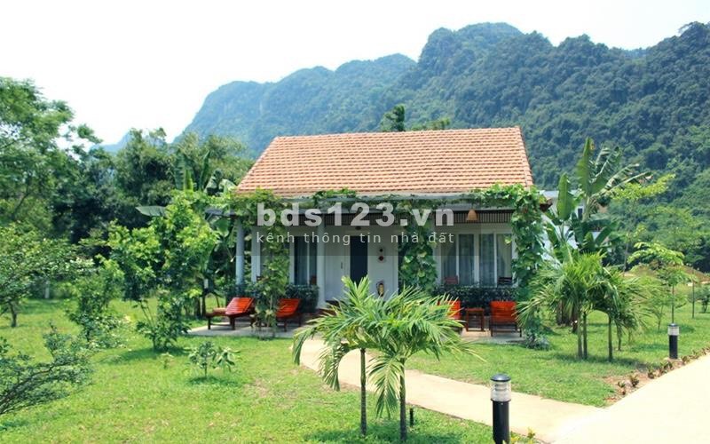 Bán lô đất 501m2 Homestay Nghĩ Dưỡng, chính sách mới 1 triệu đồng