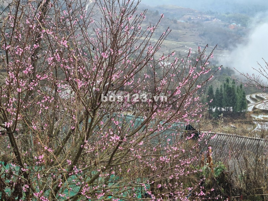 MẢnh dất diêu siêu đẹp nghỉ dưỡng Tại Y Tý- Sapa 2, Tuyết rơi vô cùng đẹp