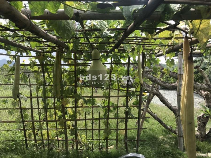 Bán Lô Đất 507m2 Resort Homestay, Giá 1.7 Tỷ. Chính chủ trực tiếp bán
