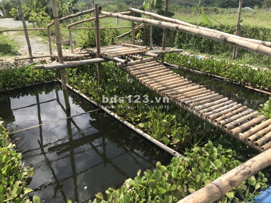 Chính chủ Bán Lô Đất 502m2 Resort Farm, giá 1.8 Tỷ hoa hồng cho Môi giới 5%