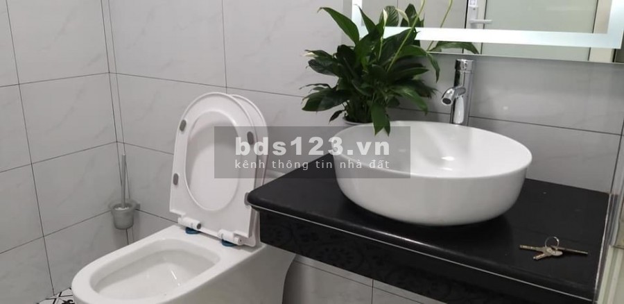 Nhà phân lô mới xây dựng, oto đỗ cửa phố Thạch Bàn, sổ sẵn giao dịch