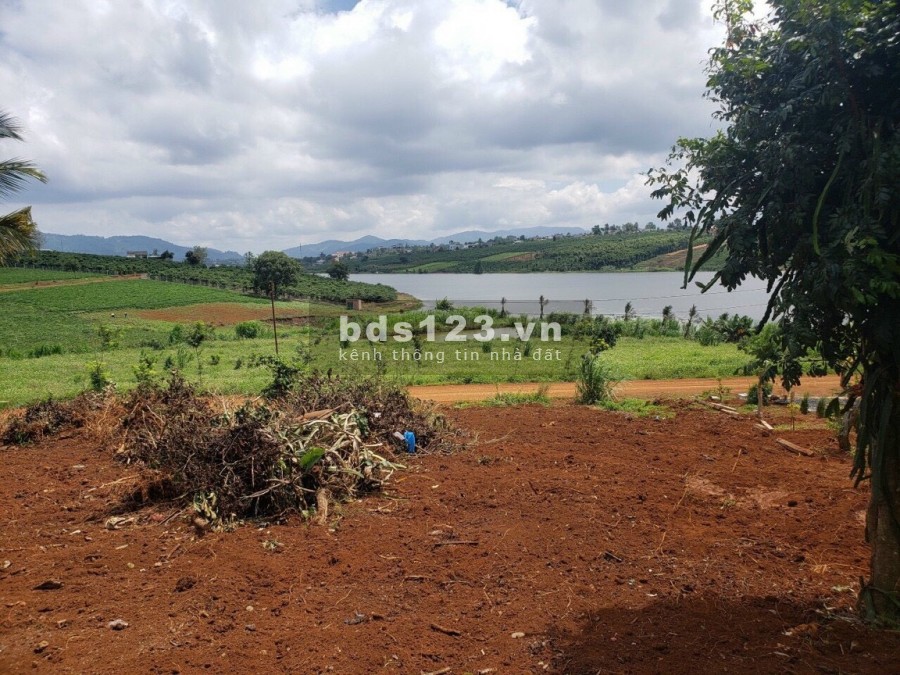 Gã đất view hồ Phúc Thọ . giá yêu thương cho anh chị tim khu nghỉ dưỡng Ven Đà Lạt