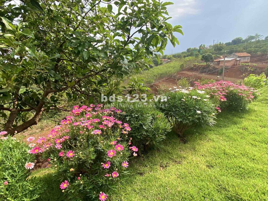 Đất nghỉ dưỡng tại NamBan villas, chỉ từ 4 triệu/m2, đã có sổ riêng từng nền