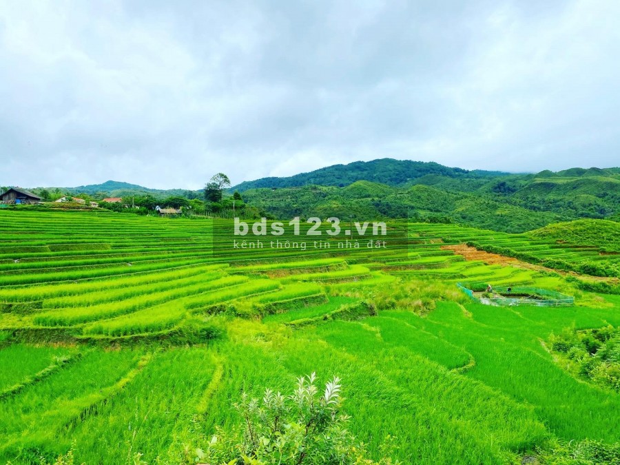 Bán mảnh đất gần trung tâm Y Tý – Sapa 2 thích hợp làm nhà hàng khách sạn