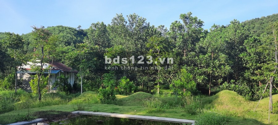 Chỉ hơn 100k/m2 đất tại Thị Xã Lương Sơn- Hoà Bình có sẵn khuôn viên trang trại bám suối