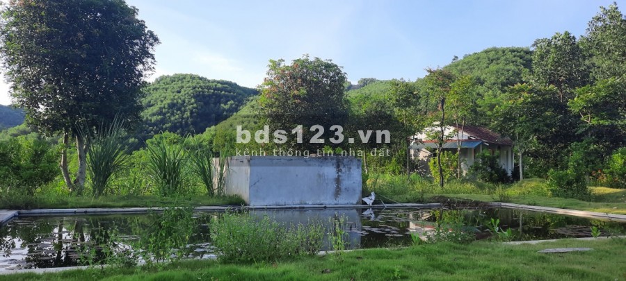 Chỉ hơn 100k/m2 đất tại Thị Xã Lương Sơn- Hoà Bình có sẵn khuôn viên trang trại bám suối