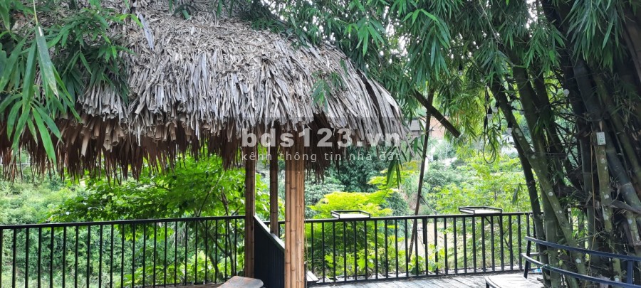 Chỉ hơn 100k/m2 đất tại Thị Xã Lương Sơn- Hoà Bình có sẵn khuôn viên trang trại bám suối