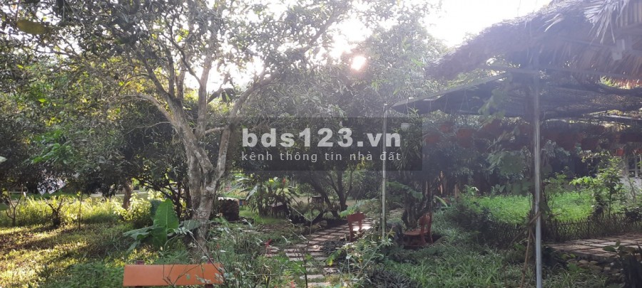 Chỉ hơn 100k/m2 đất tại Thị Xã Lương Sơn- Hoà Bình có sẵn khuôn viên trang trại bám suối