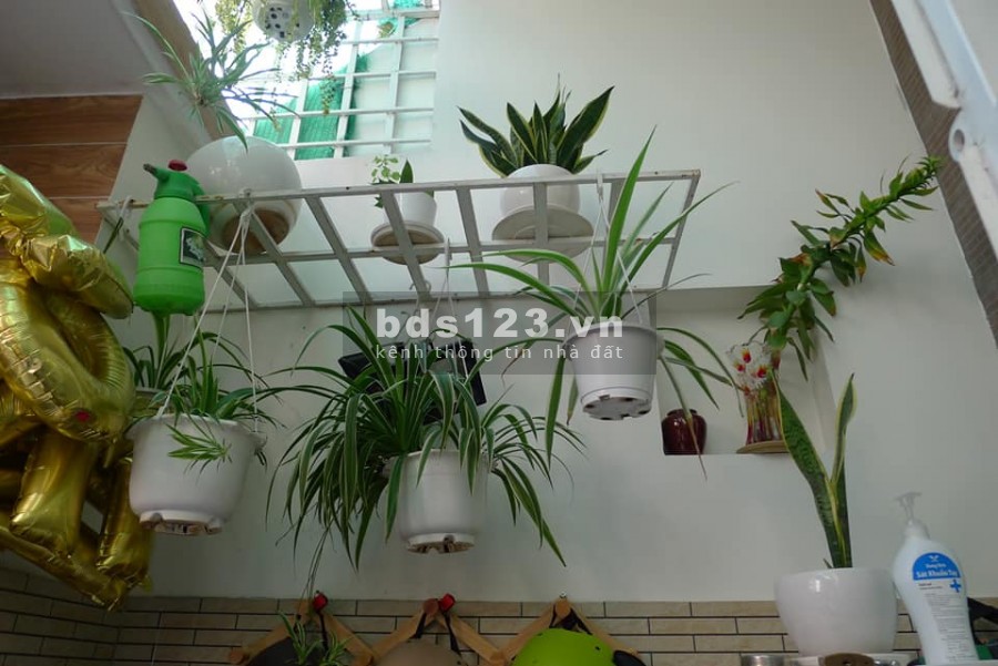 Mặt tiền 6.6 tỷ có GPXD 6 tầng Nghĩa Hòa Phường 6 Tân Bình, công chứng trong ngày
