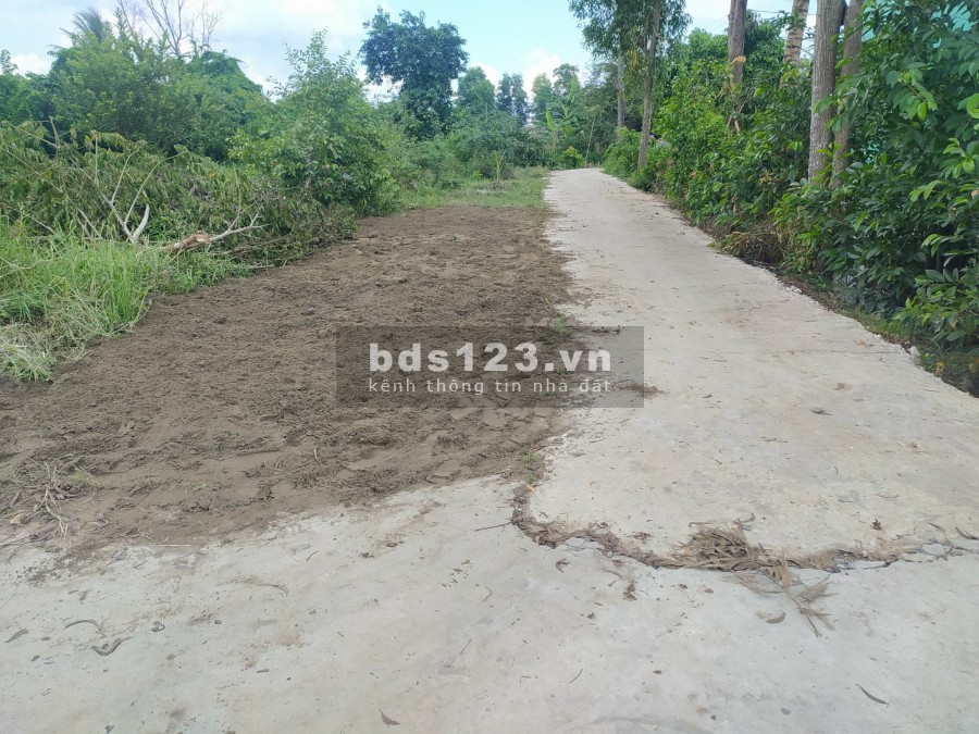 Bán đất sổ riêng 80m2, xã Bình Chánh, huyện Bình Chánh, xây dựng tự do