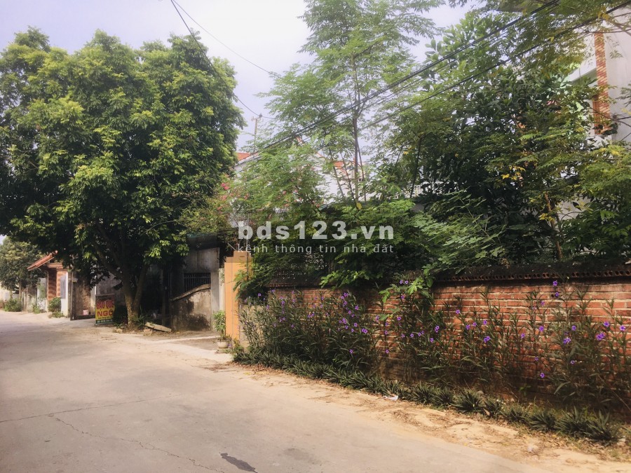 Tài chính hơn tỷ rưỡi có ngay 130m, trục chính Đồng Trạng, Cổ Đồng