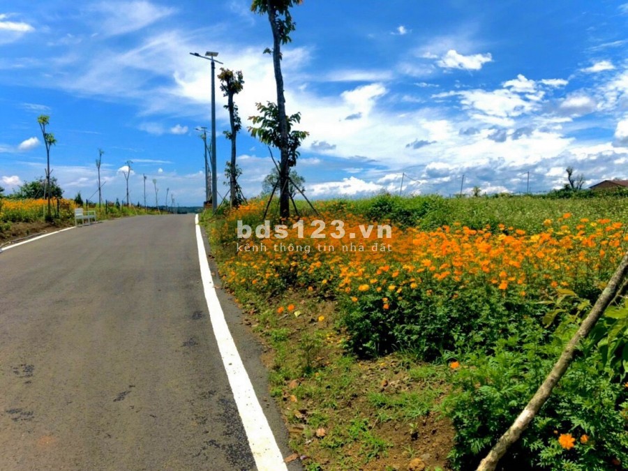 Cần tiền bán gấp lô đất nền tại Xã Lộc An, liên hệ 0383211107, giá 460 triệu