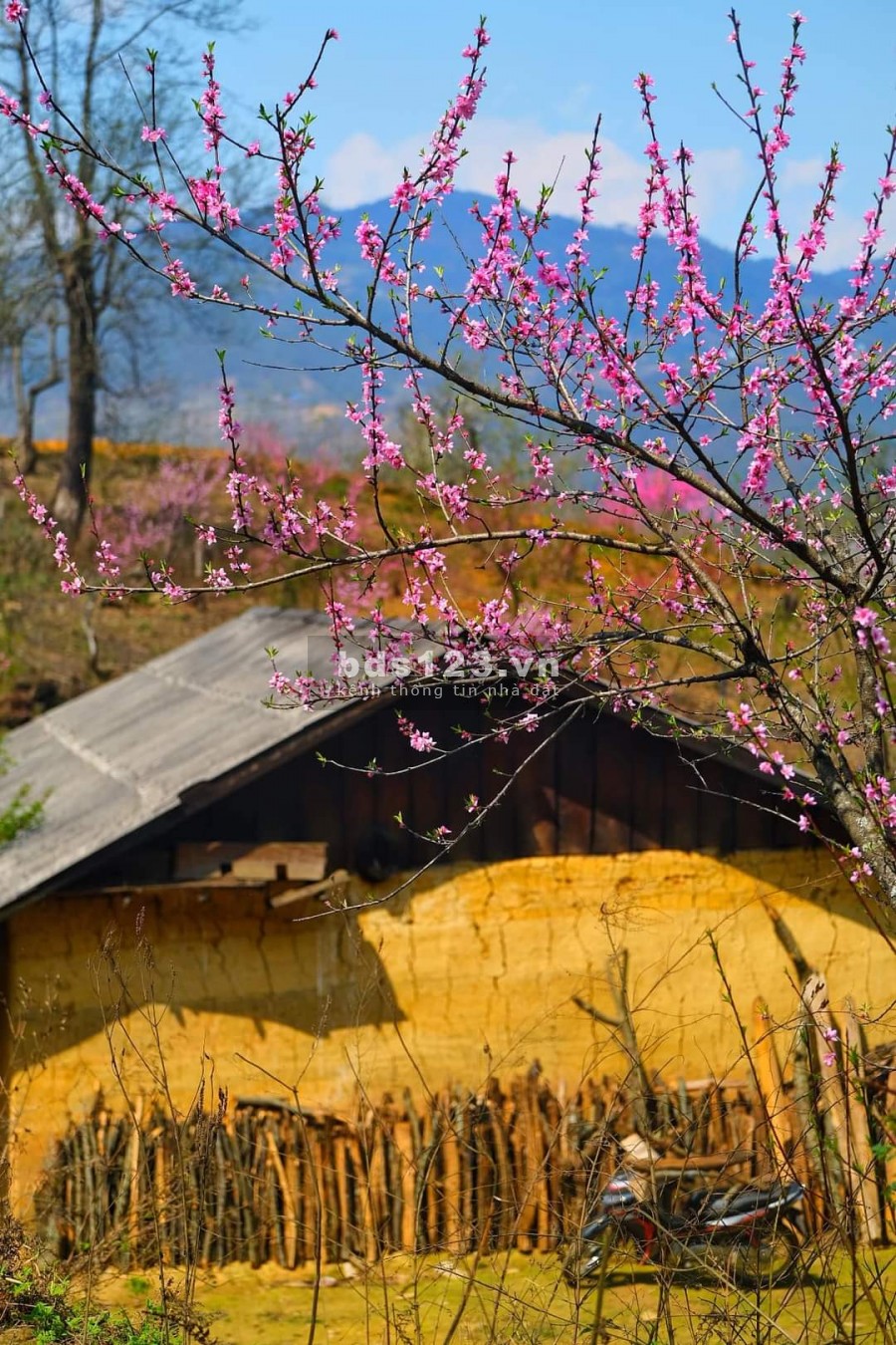 Mảnh đất Y Tý- Sapa 2, vị trí siêu đẹp làm du lịch nghỉ dưỡng 4 mùa