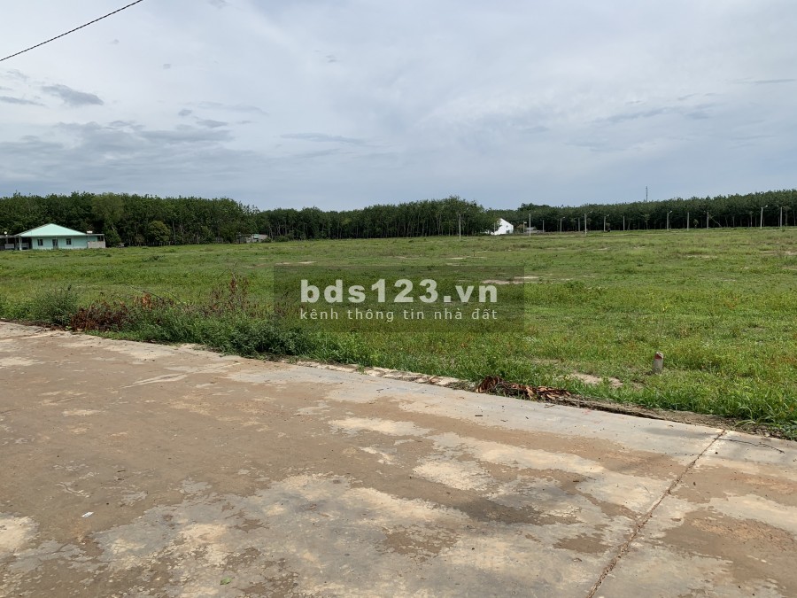Đất Ngay Trung Tâm Hành Chính, Cách Chợ 500m – Đối Diện Kcn.Dt: 8.500m2 Giá 450tr/Sổ