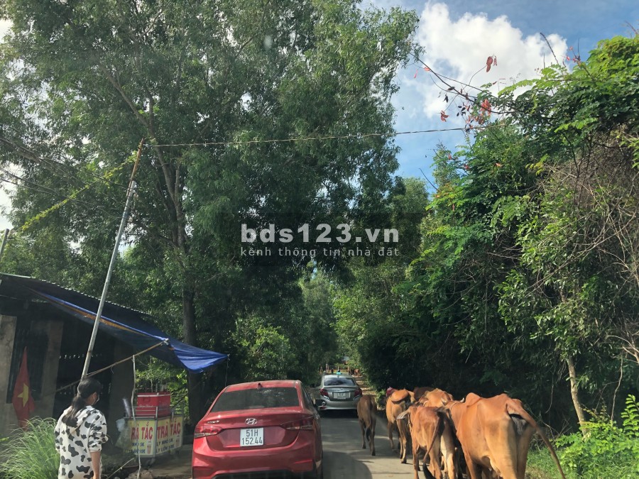 Dịch nên bán lỗ vốn 1 lô đất thổ cư sổ đỏ sẵn tại KP3 Hắc Dịch LH 0906861505
