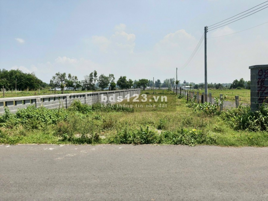 Mùa dịch khó khăn gia đình em cần bán lô đất hơn 300m2, liên hệ 0906610056