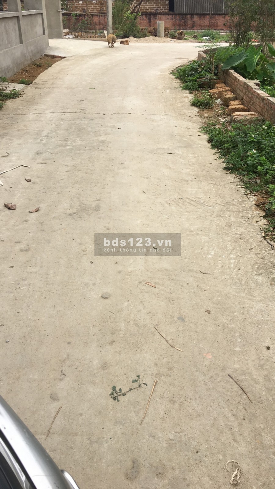 Cần tiền bán cắt lỗ thửa đất diện tích 115m2, thôn 7 Tân Xã, giá gốc bao sang tên