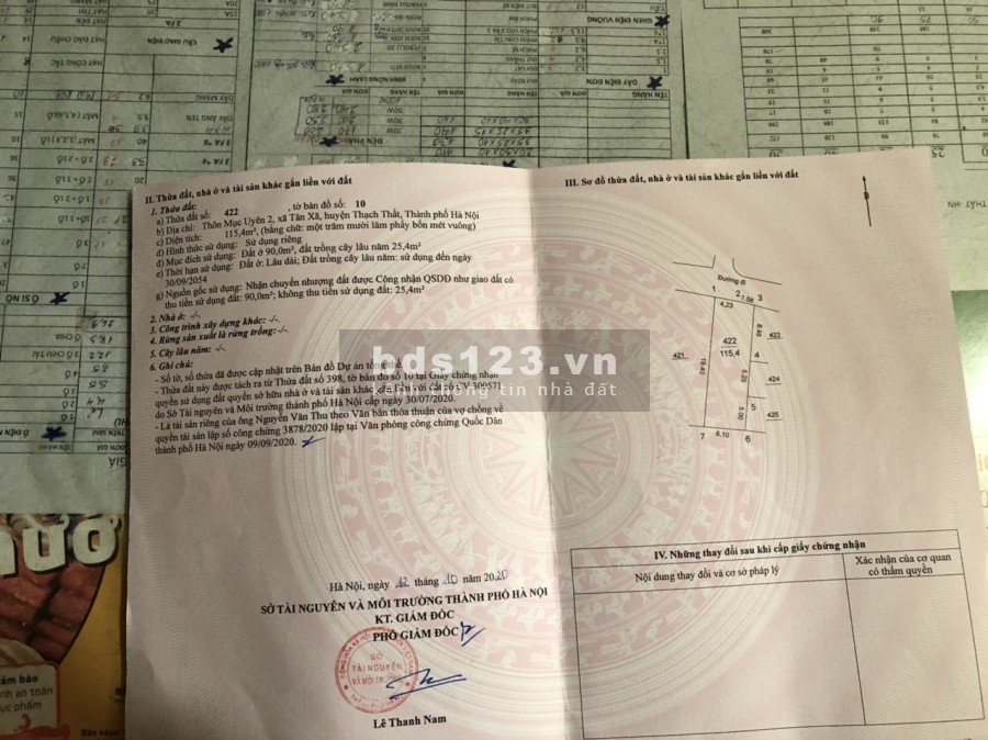 Cần tiền bán cắt lỗ thửa đất diện tích 115m2, thôn 7 Tân Xã, giá gốc bao sang tên