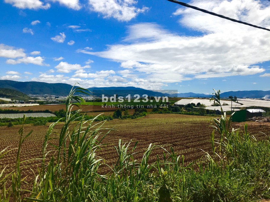 Bán đất Ka Đơn Đơn. Dương Lâm Đồng giá bán 450 triệu, tiện ích đủ