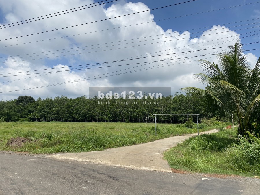 Đất nền đầu tư giá rẻ sỗ sẵn thổ cư dt 100m2 sang tên công chứng trong ngày