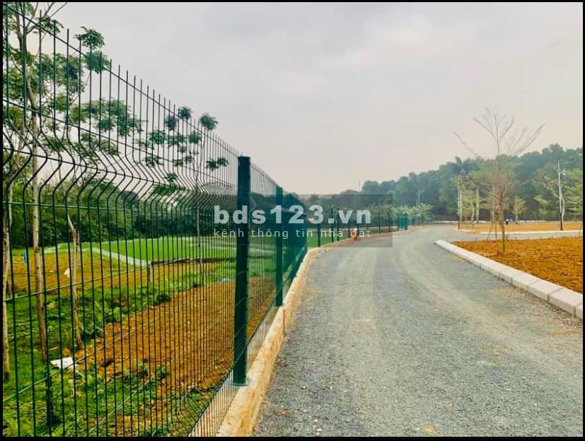 Chính chủ bán gấp 1 lô view hồ sen rộng 3 H/a gần đường quốc lộ 21 giá siêu rẻ