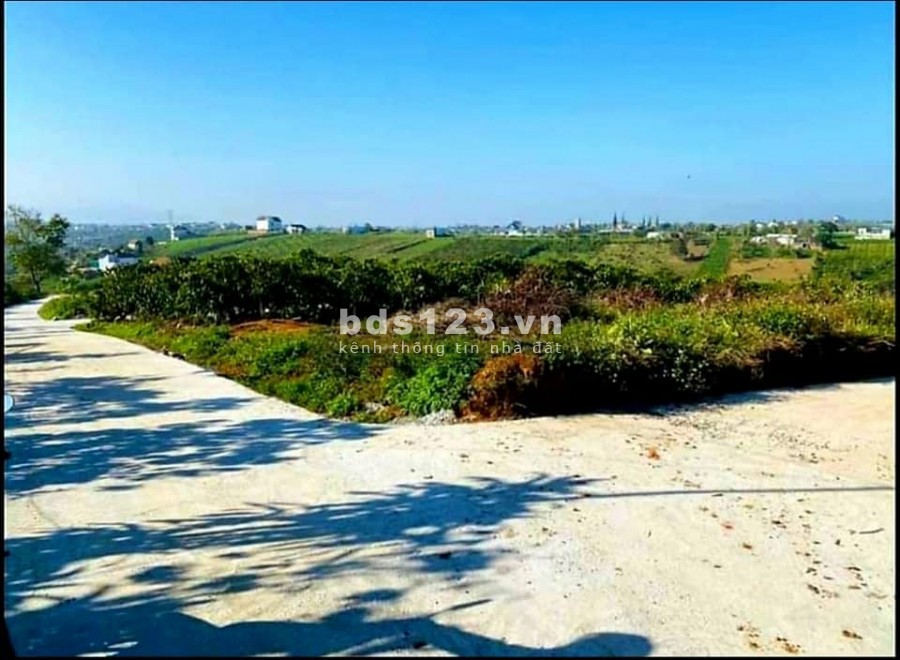 Bán lô đất 2 mặt tiền Nam Ban Lâm Hà, diện tích 700m2, giá…