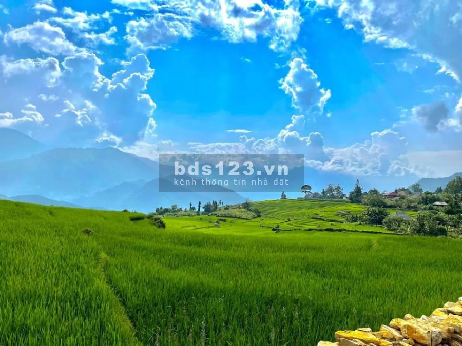 Bán mảnh đất nghỉ dưỡng siêu đẹp tại Phan Cán Sử, Y Tý- Sapa 2, giá thỏa thuận