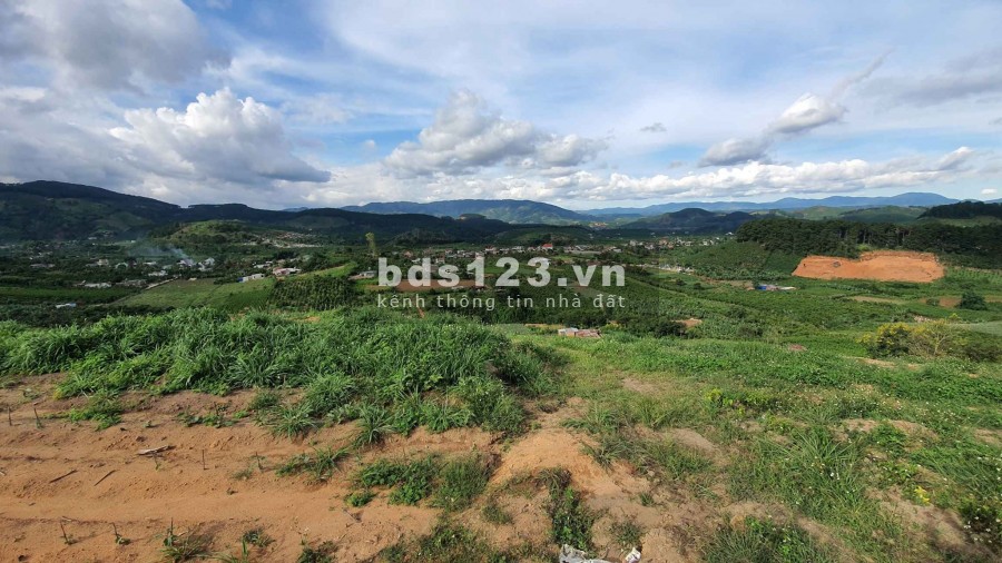 Bán lô đất 2 mặt tiền Nam Ban Lâm Hà, diện tích 700m2, giá…