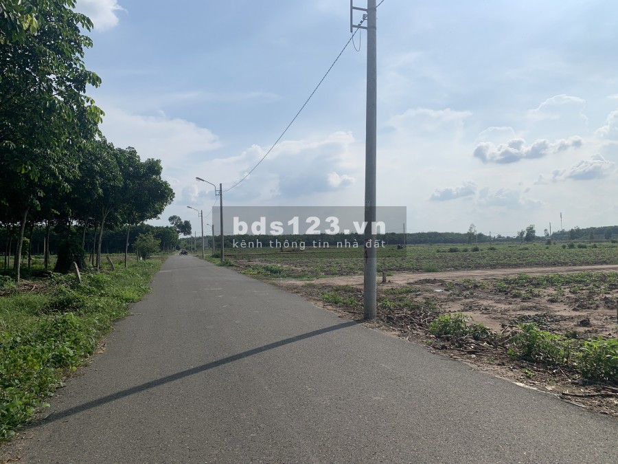 Chính chủ cần bán 4200m2, giá 520 triệu/sổ đường Tỉnh Lộ, gần trung tâm hành chính, đầu tư sinh lời