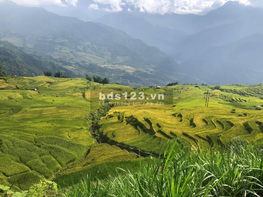 Bán mảnh đất nghỉ dưỡng siêu đẹp tại Phan Cán Sử, Y Tý- Sapa 2, giá thỏa thuận