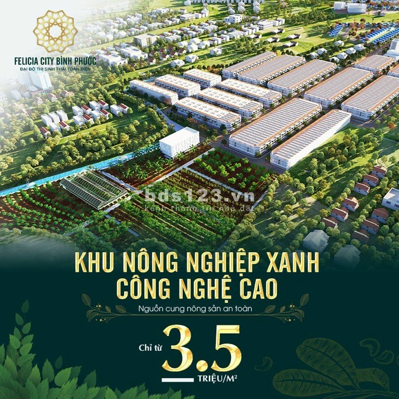 Đất nền Đại đô thị Felicia City Bình Phước chỉ từ 3,5tr/ m2, sổ riêng xây dựng tự do