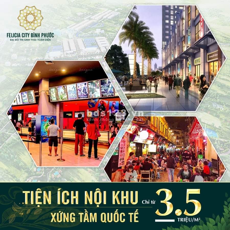 Đất nền Đại đô thị Felicia City Bình Phước chỉ từ 3,5tr/ m2, sổ riêng xây dựng tự do