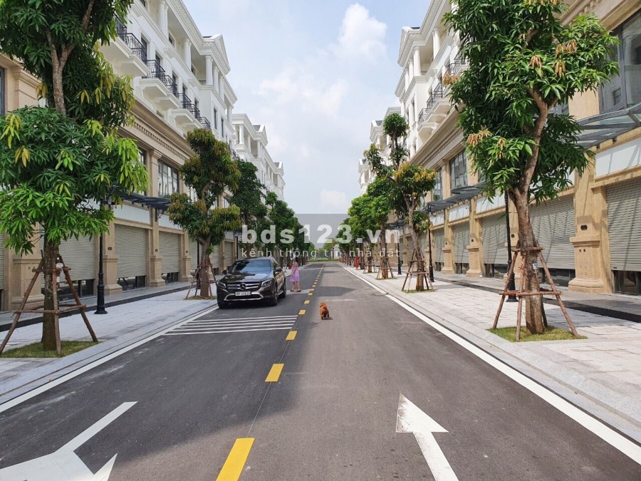 Bán Gấp Căn Shophouse Vinhomes Ocean Park, giá bán 10.5 tỷ, vị trí trung tâm
