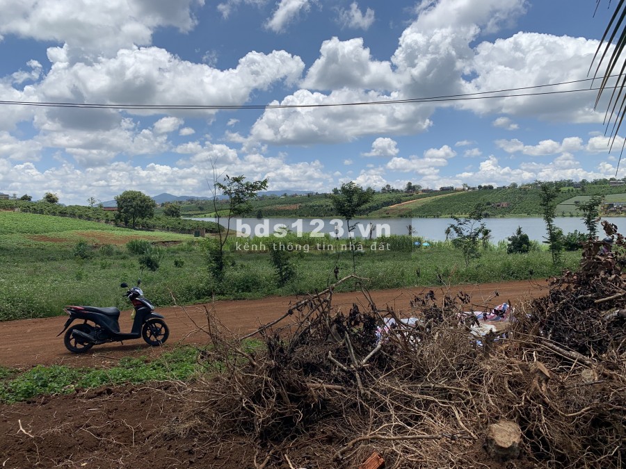 Bán đất sổ hồng riêng view Phúc Thọ, Tân Hà, Lâm Hà, khu dân cư hiện hữu