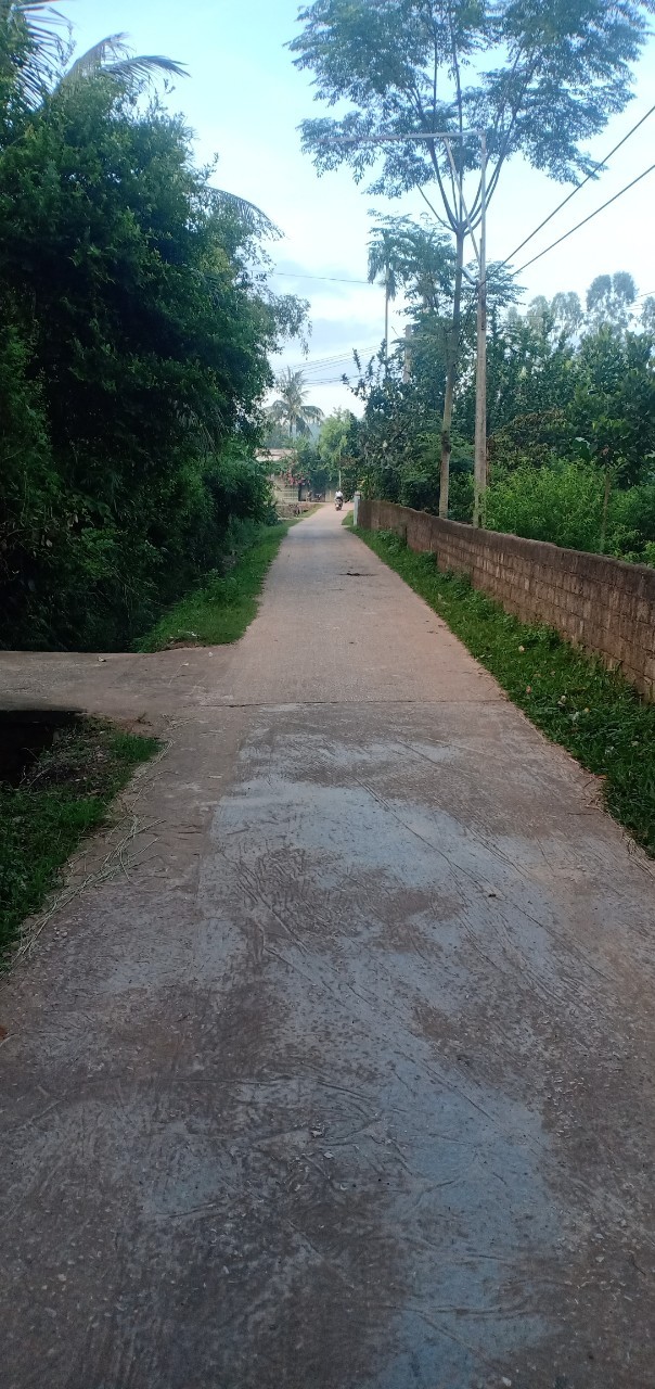 Cần bán ba lô đất chính chủ tại Thọ Tân, Triệu Sơn, pháp lí minh bạch