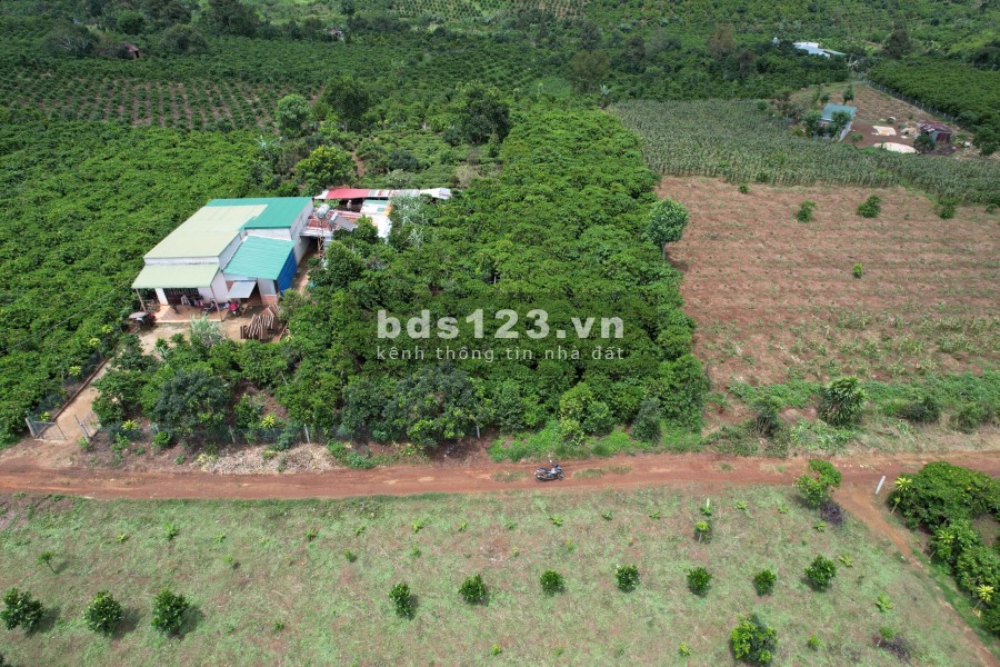 Cần bán lô đất view đẹp, nhiều mặt tiền đường Xã Lộc Đức huyện Bảo Lâm