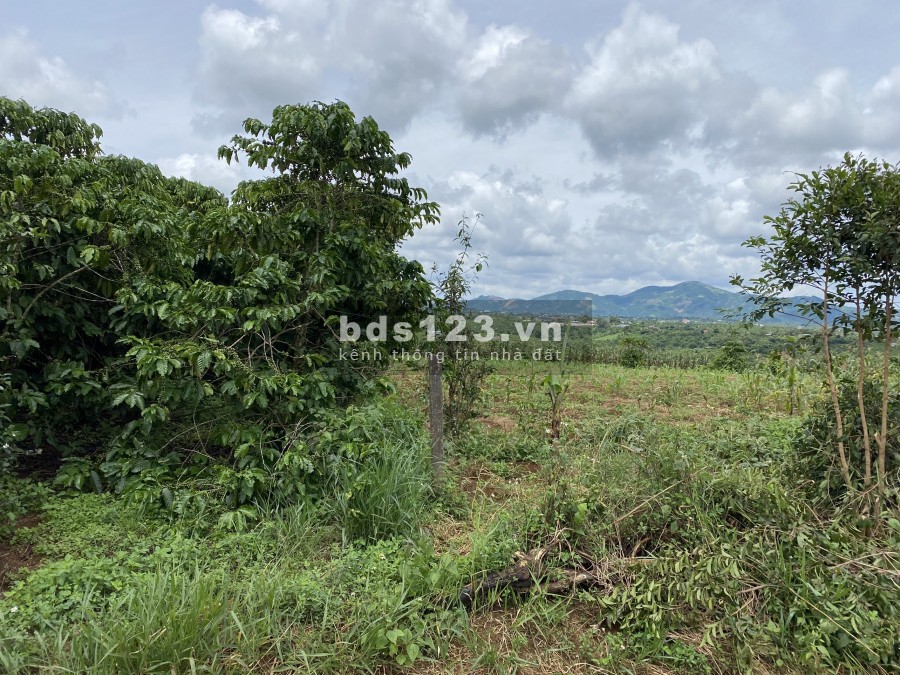 Cần bán lô đất view đẹp, nhiều mặt tiền đường Xã Lộc Đức huyện Bảo Lâm