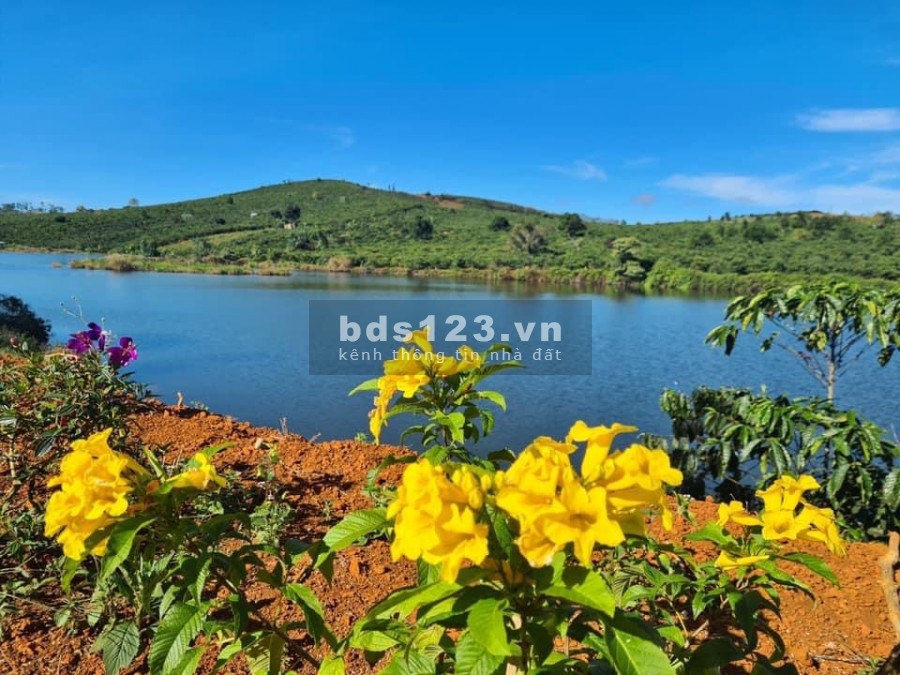 Kẹt tiền cần bán gấp lô đất View Hồ