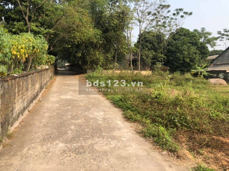 Gia đình tôi cần thanh khoản 2 lô đất tại Đồng Bông - Kim Long - Tam Dương, tổng diện tích 196m2