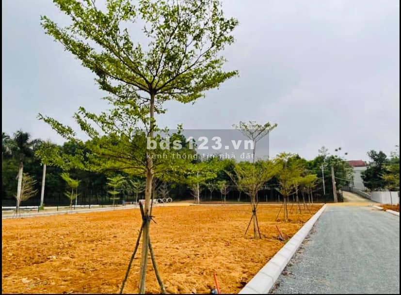 Duy nhất 1 lô nằm trên trục đường bãi dài rộng 50m, đối diện khu C xanh vilas