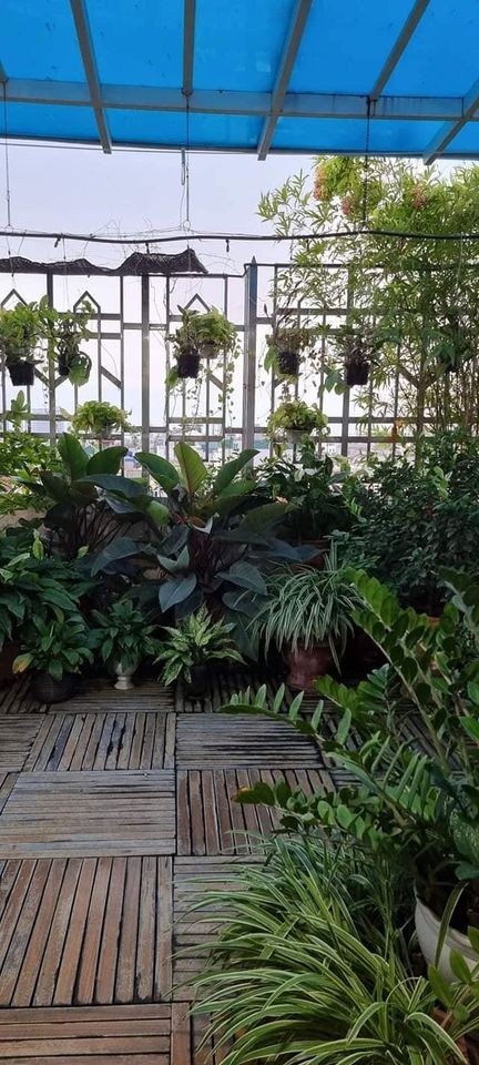 Bán nhà siêu phẩm hiếm có phố Tô Vĩnh Diện, Thanh Xuân, dt 88m2, 4 tầng, giá nhỉnh 7 tỷ