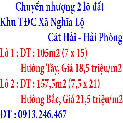 Chuyển nhượng 2 lô đất khu tái định cư, xã Nghĩa Lộ, Cát Hải, Hải Phòng
