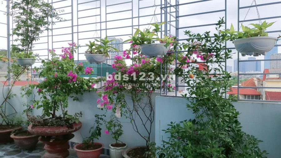 Siêu phẩm Võ Chí Công Thang Máy 3 Thoáng 83m2x5Tầng 10.8Tỷ