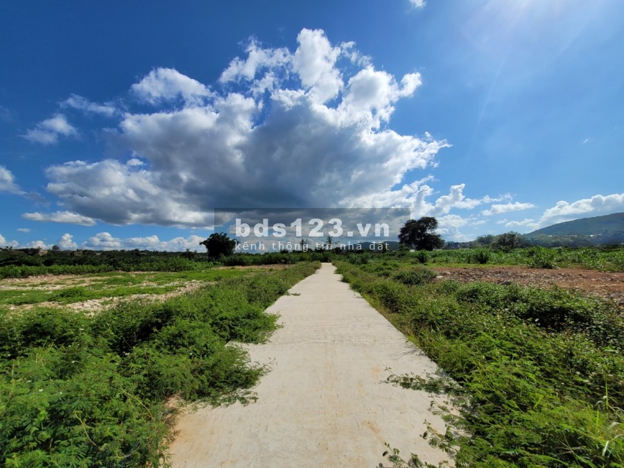 Bán đất Đông Thanh, Nam Ban, Lâm Hà, sổ hồng riêng, vị trí đắc địa