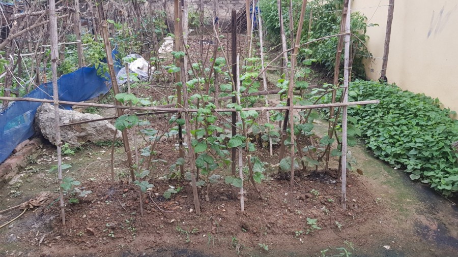 Cần bán đất Miêu Nha, Tây Mỗ, gần ô tô diện tích 50m2, mt 5m, giá nhỉnh 3 tỷ