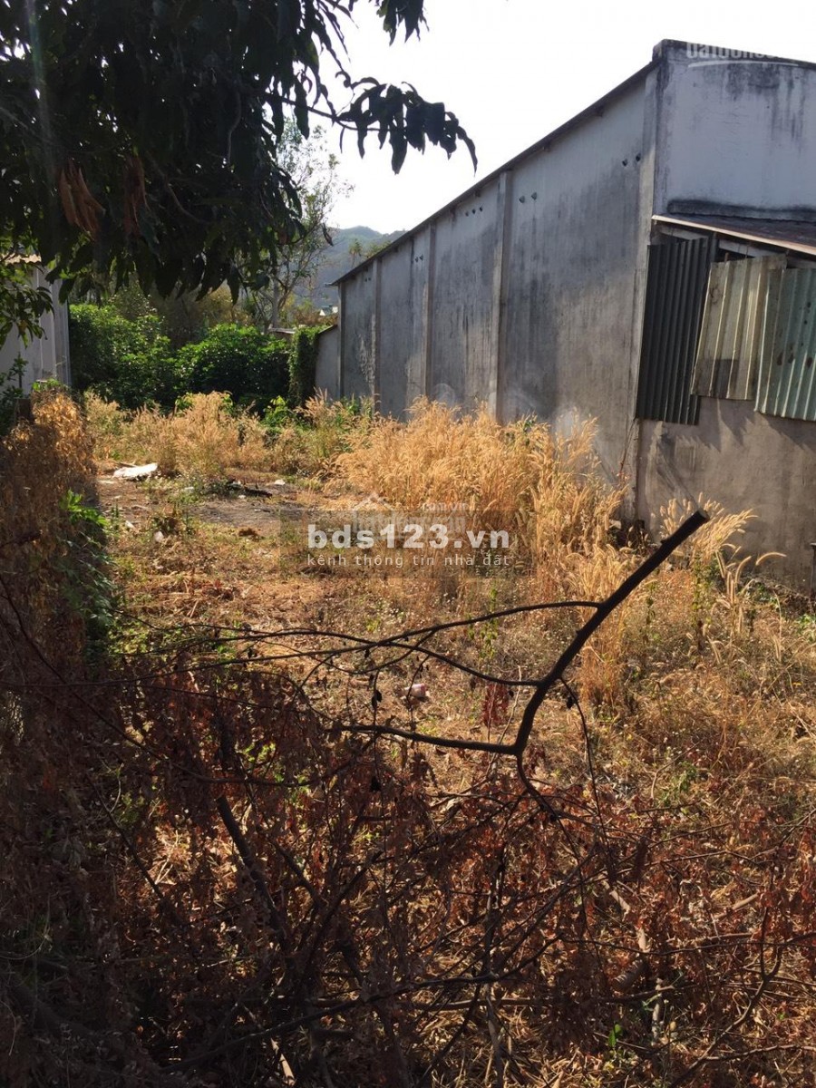 318m2 đất ở đường số 9 tân hưng, gần chợ xã Tân Hưng, đường thông tứ phía