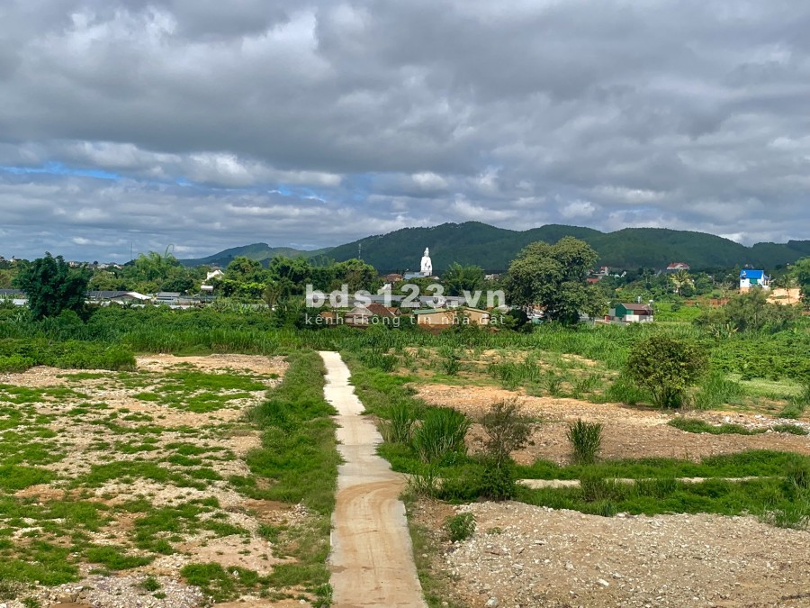 Bán đất Đông Thanh, Nam Ban, Lâm Hà, sổ hồng riêng, vị trí đắc địa