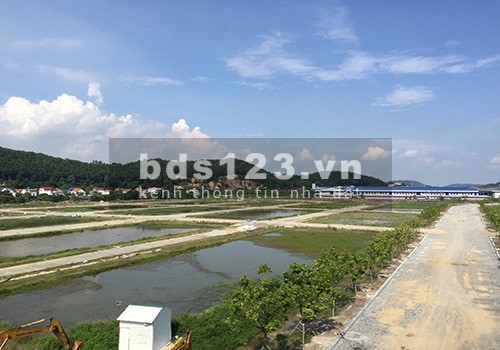 Cần tiền bán rẻ mảnh đất tại khu đô thị Thành Công, giá thoả thuận chính chủ
